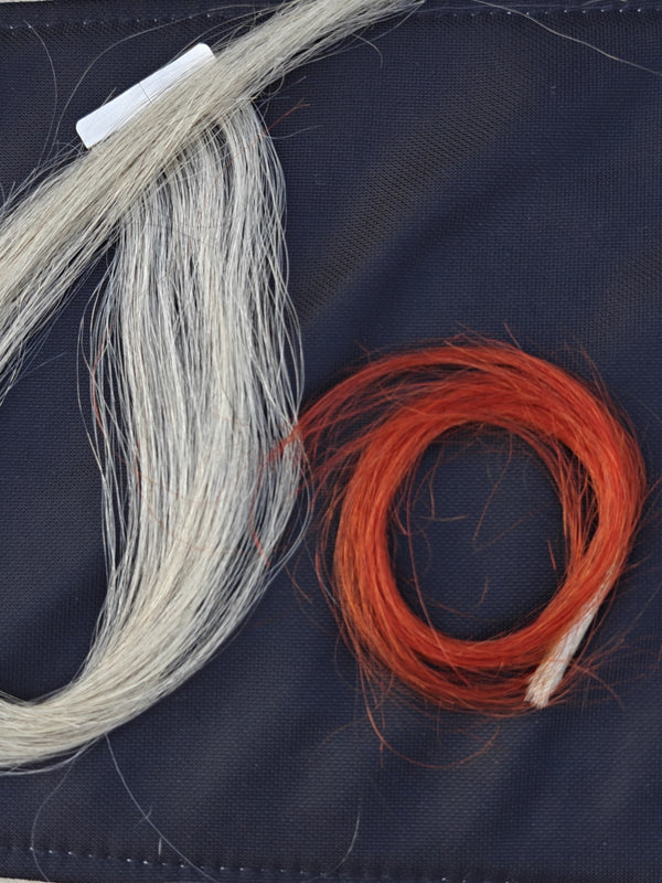 Deep Red Results