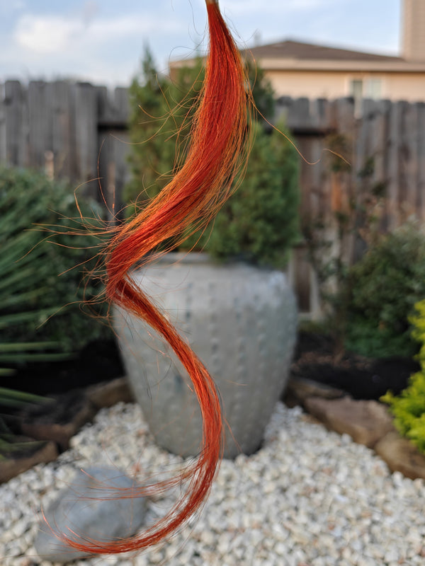 Deep Cherry Red